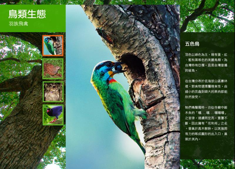 20120719152420437.jpg